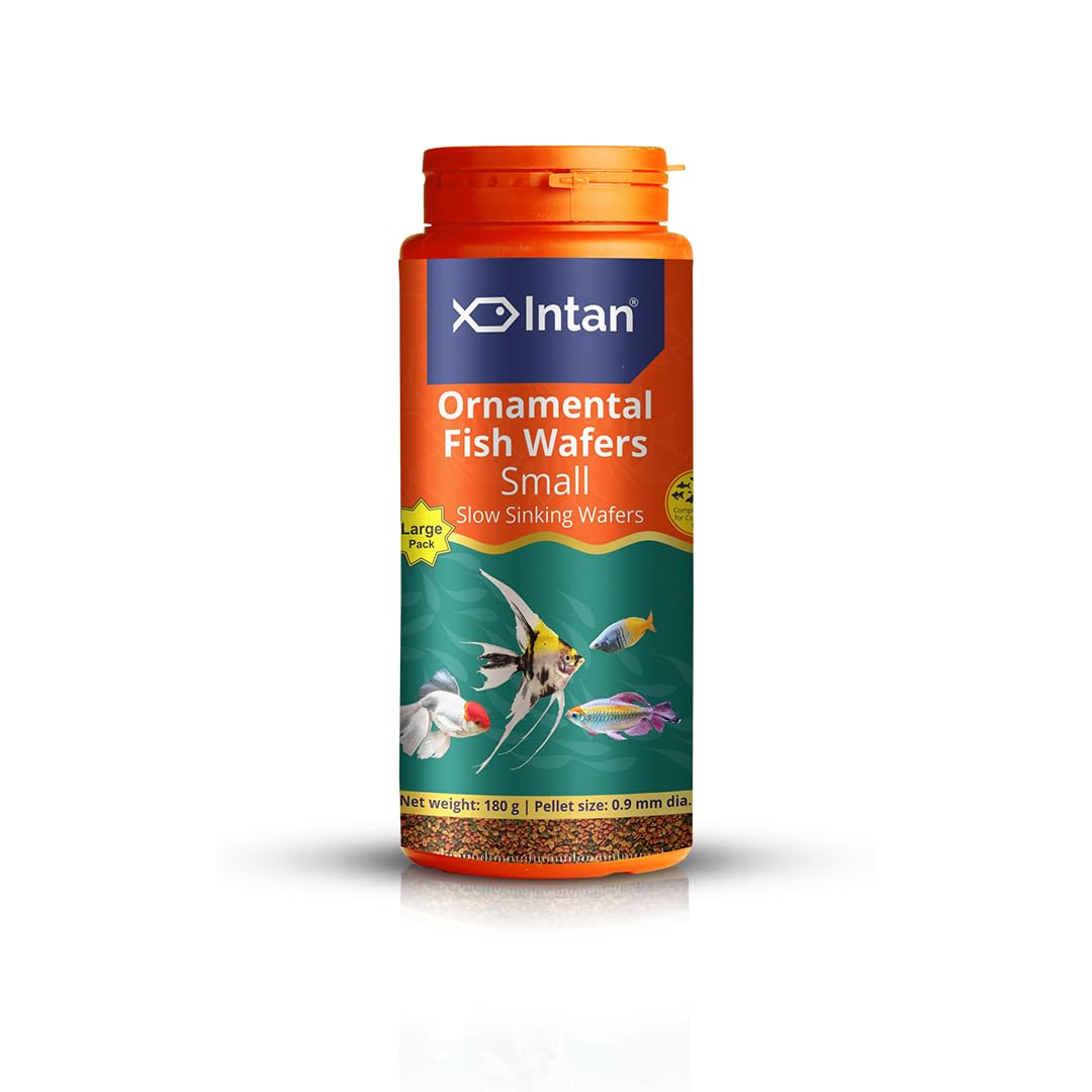 Intan Ornamental Fish Wafers (0.9mm Small Slow Sinking) | 180gm - Highly Nutritious Ornamental Fish Food for Angels, Gouramis, Goldfish, Barbs & Rainbows | Growel Feeds