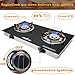 RegiisCook 2 Burner Propane Gas Cooktop,Camping Portable LPG Gas Stove, Auto Ignition Tempered Glass Countertop with Regulator Burner Grate
