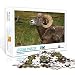 Puzzle per adulti 500 pezzi Puzzle di capra Jigsaw challenge puzzle decomprimi il puzzle giocattolo 52x38 cm Puzzle per adulti 500 pezzi