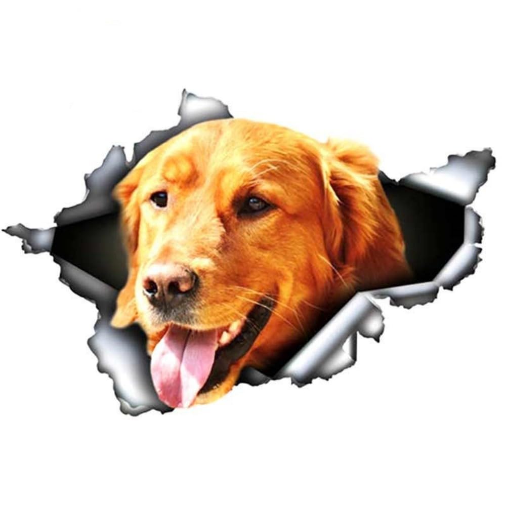Golden Retriever Aufkleber, 3D Durchbruch-Effekt, Reflektierend, Wasserfest, Lustiger Aufkleber für Laptop, Kühlschrank, Auto, Stoßstange (18cm/7.1 Inch)