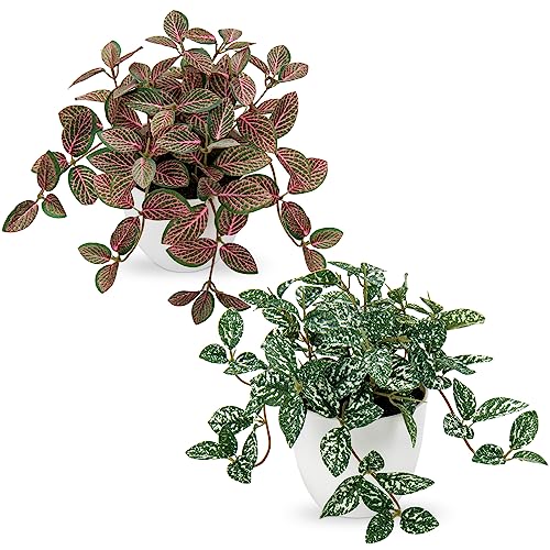 Oairse Juego de 2 plantas artificiales pequeñas