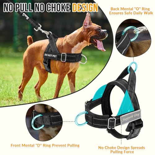 SlowTon No Pull Dog Harness - Heavy Duty Dog Harness and Leash Set for Medium Large Dogs, Reflective Tactical Harness with Soft Padded and Front Clip for Easy Walk and Training (Black L)