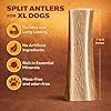 WhiteTail Naturals Premium Split Elk Antlers for Large Dogs (Extra Large-1Pack) - Elk Horn Dog Chews - Naturally Shed Antler Chew Bone - Long Lasting, Crafted in USA #1