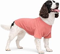 Vista 23 de Lovelonglong Ropa para mascotas, disfraces para perro, ropa de perro salchicha, camiseta en blanco para perros salchicha, Corgi 100% algodón, rosa