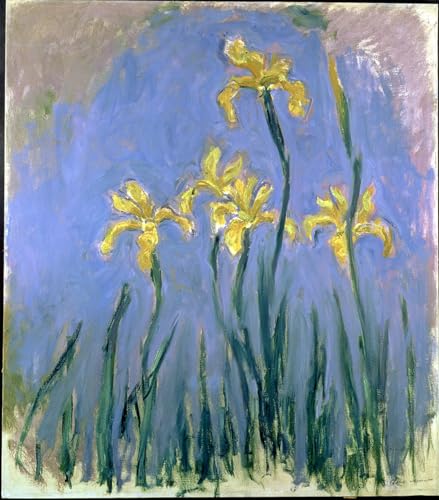 Les Iris Jaunes de Claude Monet réinventés en poster graffiti pour réveiller un mur blanc