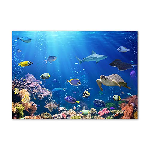 Crédence cuisine verre trempé 100x70cm fond de hotte splashback guard bleu
