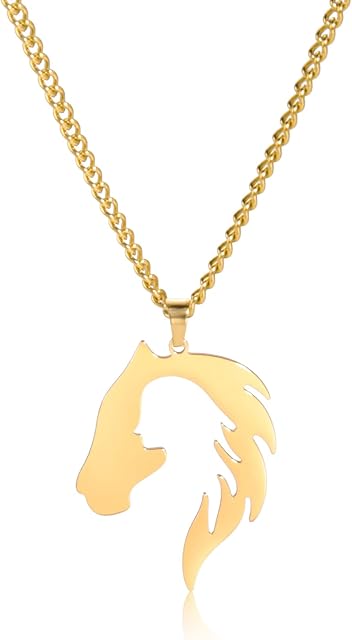 LIKGREAT Girl and Horse Pendant Necklace Horse Lover Necklaces Charm Friendship Stainless Steel Jewellery Horse Gifts for Girls Women Birthday Anniversary