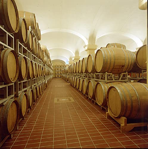 サルバライ ソアヴェ の最安値比較