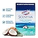 Clorox Scentiva Fabric Softening Dryer Sheets | Fabric Sheets in Pacific Breeze & Coconut Scent | Laundry Dryer Sheets for Fresh & Clean Clothes | 105 Count