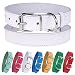 BRONZEDOG Genuine Leather Dog Collar Puppy Pet Collar for Dogs Small Medium Large Pink Red Blue Green Turquoise White Yellow (Neck Size 15" - 17", White)
