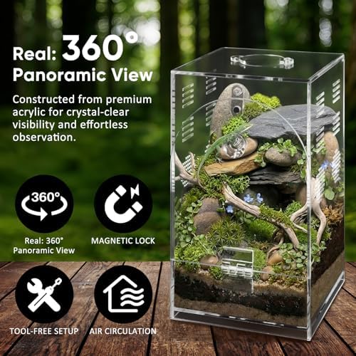 YINGXUN 360 Rotating Acrylic Reptile Enclosure, Pre-Assembled Arboreal Terrarium for Jumping Spiders & Tarantulas, Clear Habitat with Integrated Turntable, 4.3x4.3x7.5 — view 5