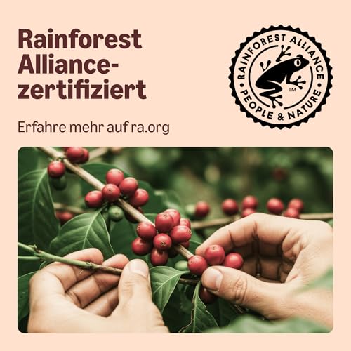 by Amazon Sortimentspackung, Aluminium-Kaffeekapseln, kompatibel mit Nespresso, mittelgeröstet, 100 Stück (5 Packungen mit je 20 Stück) – Rainforest Alliance zertifiziert