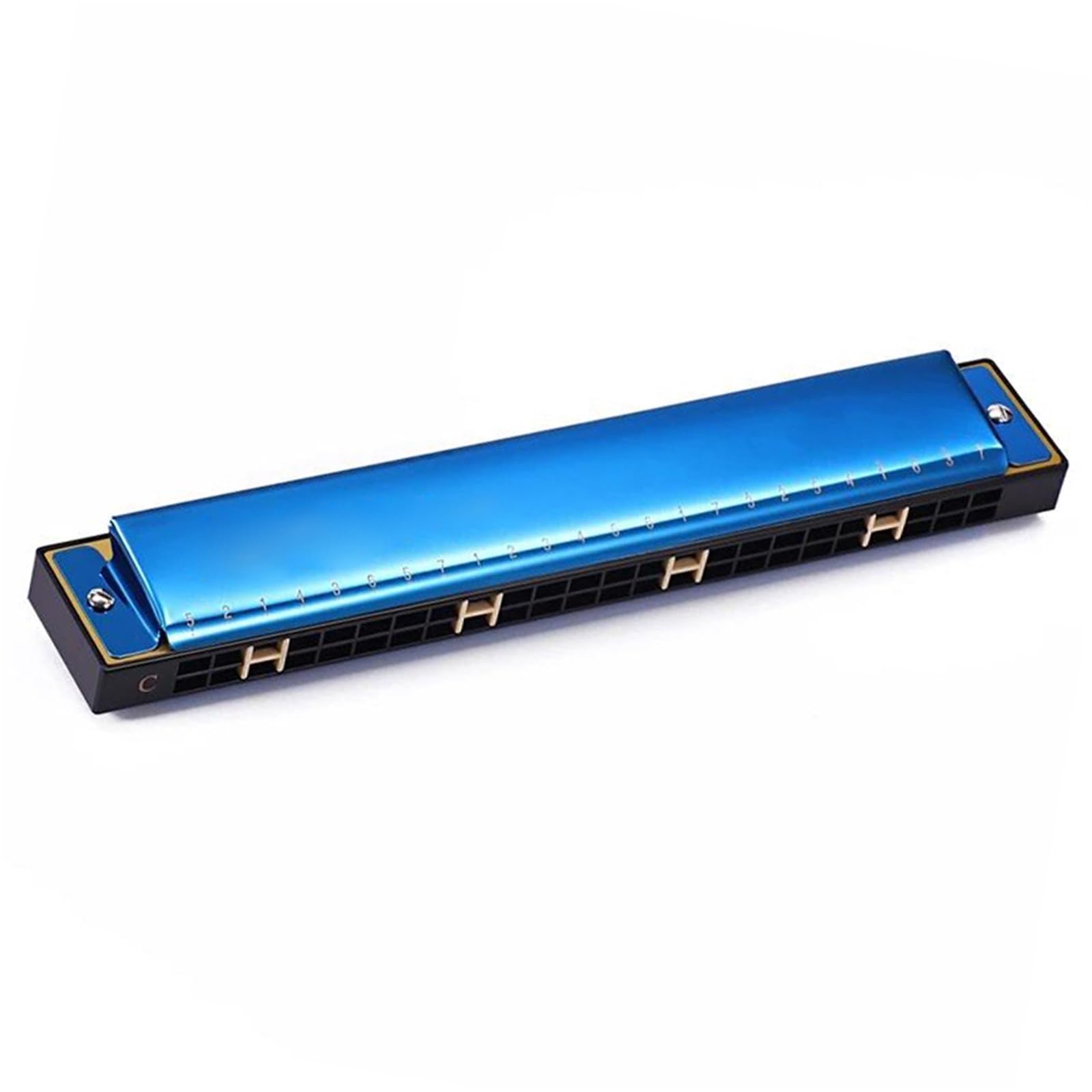 Armonica Professionale Armonica Blues Professionale Per Adulti 24 Fori Tono C(Type3)