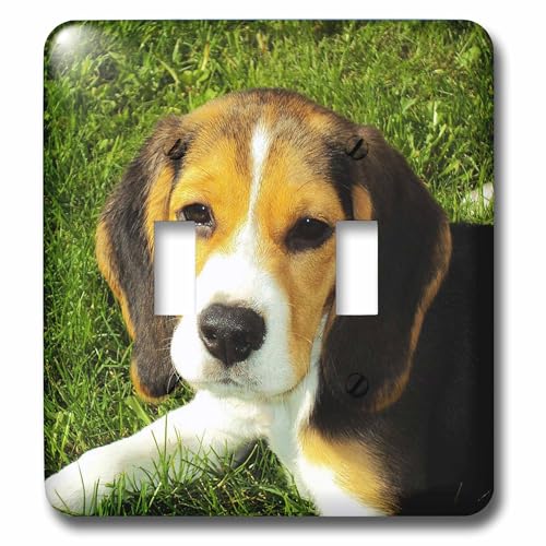 Chien beagle double interrupteur à bascule pour remplacer une plaque murale usée
