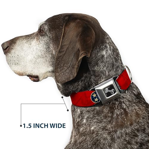 Collier chien Tennessee Buckle Down ajustable imprimé étoiles M - 8