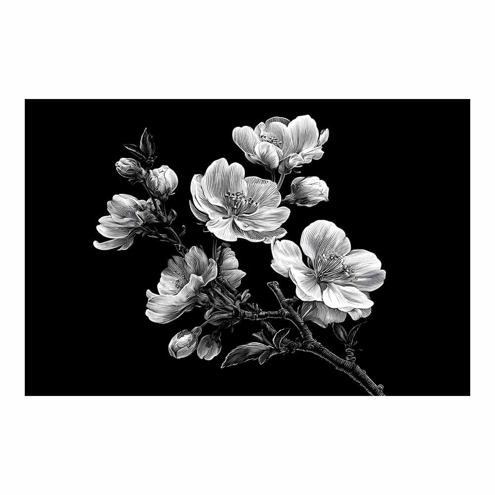 Fleurs de cerisier noir et blanc affiche deco mural pour salon apaisant