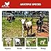 RentACoop Electric Anti-Predator Goat Fence - Suitable for Goats and Larger Animals - Energizer Not Included - 168' L x 42