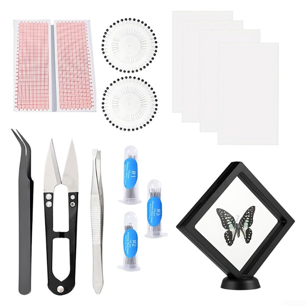 Insekten Präparier Set 6-teilig mit EVA Nadelbrett, Koordinatenpapier & Glasine – Edelstahl Nadeln für Schmetterlinge & Käfer – Komplettkit für Anfänger
