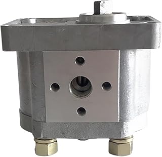 Gear Pump Hydraulic Oil Pump CBN-F310 CBN-F314 CBN-F316 CBN-F320 CBN-F306 MINGPING (Color : CBN-F306, Size : Flat Key)