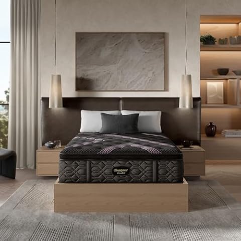 Beautyrest Black Series Two 16.25" Plush Pillow Top Queen Mattress - Breathable, Cooling, and Supportive - CertiPUR-US Certified, 100-Night Sleep Trial, and 10-Year Limited Warranty Cover