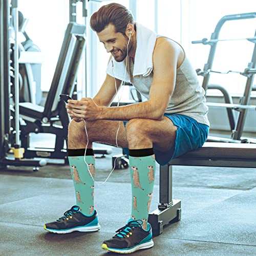 Image of Fisyme Socks for Women Men Warm Comfort Athletic Crew Running Hiking Cycling Compression Socks