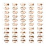 Quantität: natürliche Zahnschalen 50pcs, und sie können in eine Vielzahl von schönen Armbändern, Fußkettchen, Ohrringen, usw. gemacht werden.