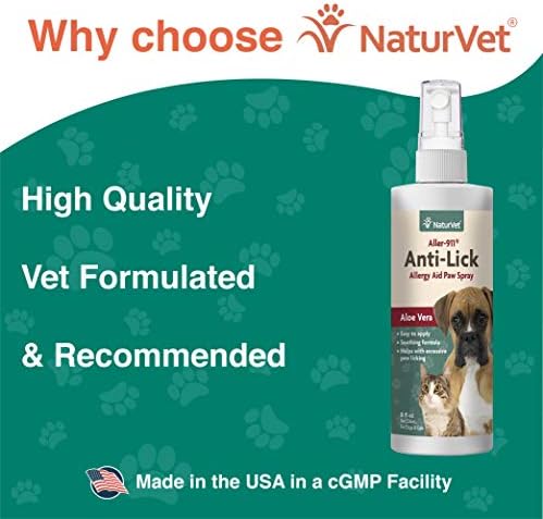 dog licked wasp spray