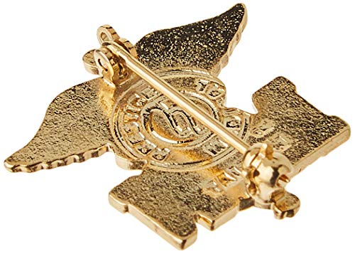 Image of Prestige Medical Emblem Pin, MSN (Letters on Caduceus)