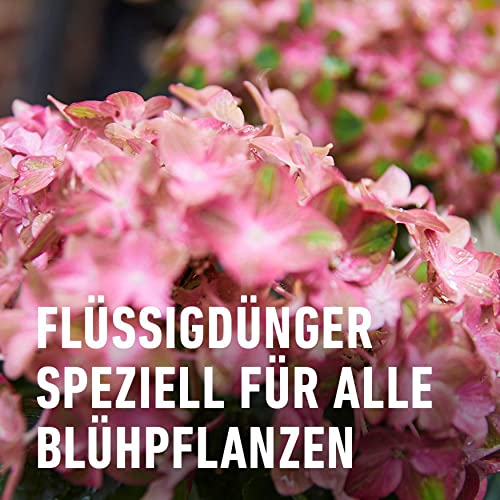 Compo Blühpflanzendünger 1l – Ansicht 3
