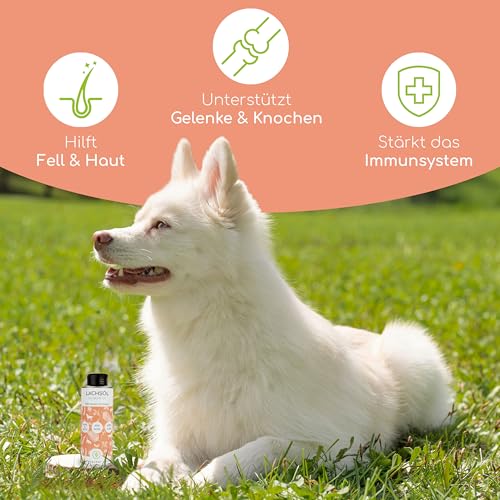 Lachsöl für Hunde und Katzen mit Omega 3 & 6 I 250ml norwegisches, natürliches Lachs-Öl aus Atlantik-Meer-Lachs I Hochdosiertes Ergänzungsmittel
