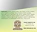 Concha Nacar Crema Rejuvenecedora con Vitamina A y Sabila, Rejuvenating Cream with VITAMIN A and Aloe 2 oz (Pack of 1)