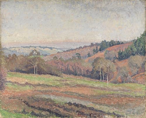 Poster Image Déco D'Art Murale Old Mark's Field par Lucien Pissarro Toile 60x90cm