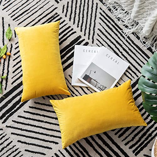 Image of RVA Velvet Cushion Covers Throw Pillow Case Soft Cozy Velvet Rectangle Home Decorative Throw Pillow Covers for Couch and Bed, Sofa (Size 16x24 inch) (Pack of 2) (Color Yellow)