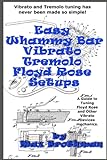 Easy Whammy Bar Vibrato Tremolo Floyd Rose Setups