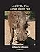 Lord of the Flies LitPlan - A Novel Unit Teacher Guide With Daily Lesson Plans (Paperback)