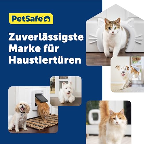 PetSafe Große Katzenklappe - Für Türen im Innen- & Außenbereich - 4 Verschlussoptionen & Sanft Schließende Klappe - Für Katzen & Kleine Hunde