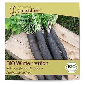 Samenliebe Noir Long Winterrettich BIO Samen 100