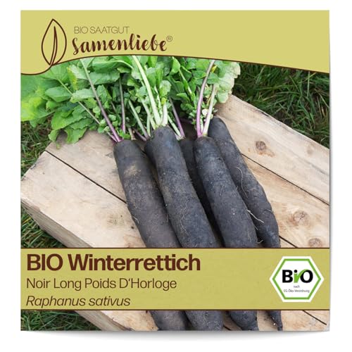 Samenliebe Noir Long Winterrettich BIO Samen 100