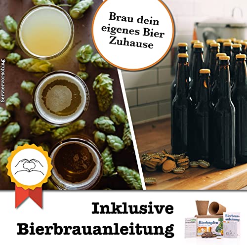 growbro Hopfen Anzuchtset, DER WEG ZU DEINEM EIGENEN BIER, Geschenk für Männer, Freunde und Papa, Geburtstagsgeschenk, Gastgeschenk, Geschenke zum Grillen, Männer Gadget