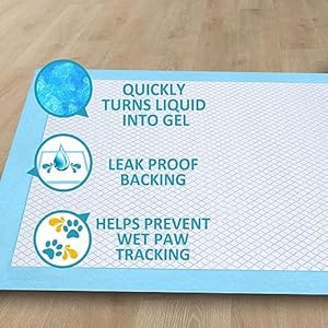 Ownpets dog training extra large pad 35 x 32 leak proof 6 layer pet potty training pads pee pads with quick dry surface for pets puppies adult sick  aging dogs 20 counts   cucciolini doodles