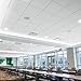 Armstrong Ceiling Tiles; 2x2 Ceiling Tiles - 12 pcs White; Acoustic Ceilings for Suspended Grid; Ultima Lay-in & TEGULAR 1912