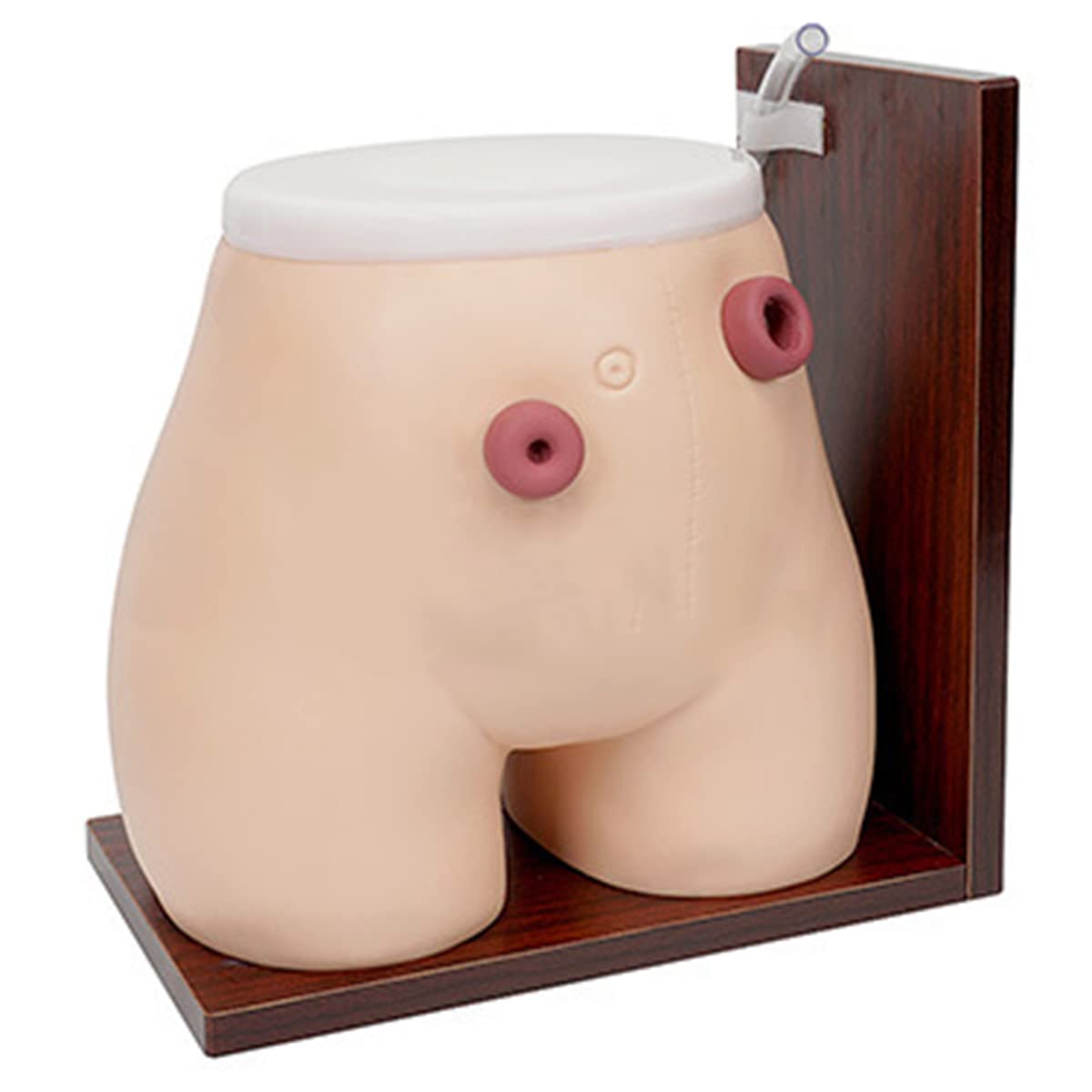 Sjdopulse Manikin Teaching Model Advanced Fistula Ostomy Nursing Model Life Size Colostomy Ileostomy Practice Traning Model For Nursing Medical Training