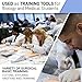 Imagen de Kit de herramientas de disección premium de 17 piezas