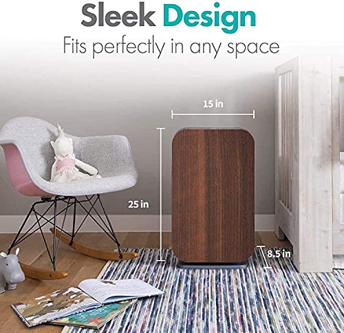 Alen Breathesmart Flex Hepa Air Purifier With Odor Filter, Absorbs Pet Odor, Household, And Food Odor, Captures Pet Dander, Allergens, Dust, Mold, Germs. Kids Rooms And Home Office Up To 700 Sq. Ft. #TOP6