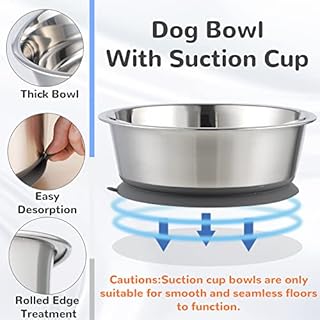 Nicelock Stainless Steel Dog Bowl | Set of 2, Metal Dog Bowls with Suction Base, Rubber Bottom & Premium Material & Easy Clean (Gray-2 Pack)
