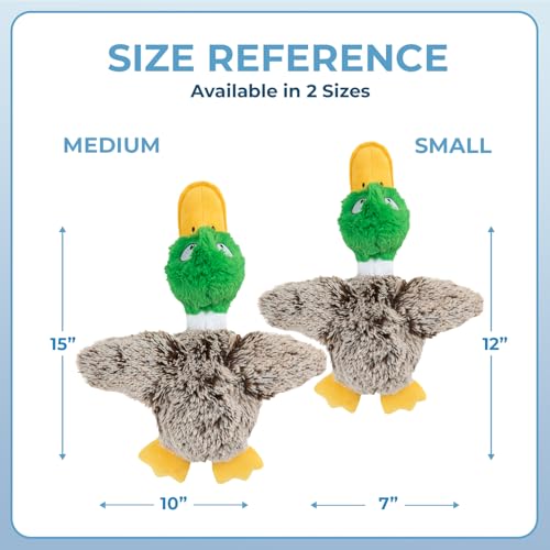Best Pet Supplies Interaktives Mallard Mates Hundespielzeug mit knisternder und quietschender Bereicherung für kleine und mittelgroße Rassen, Welpen oder Hunde, niedlich und plüschig, Stockente