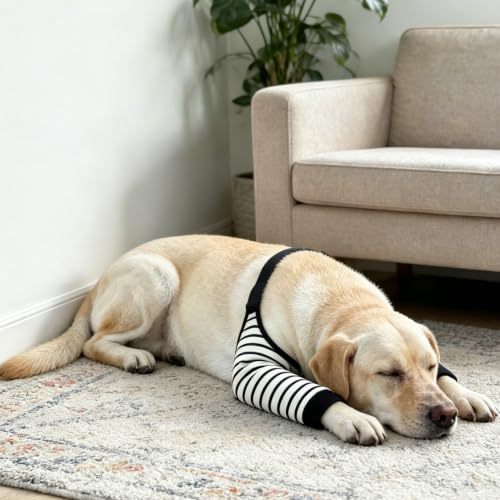 Image of Dog Knee Protector Pad for Calluses Knee Brace Front Elbow Support Wrap, Pet Sleeves for Wounds Dog Elbow Callus Treatment for Medium Large Dogs with Scarf(3XL Stripe )