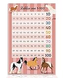 Close Up Zahlenposter Pferde 1–100 | Kinder Lernposter 61 