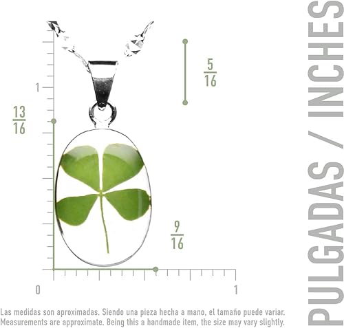 Miniatura 3 de TAMI Collar de plata con flor prensada (4 Leaf Clover)