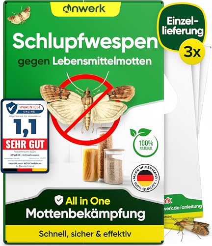 anwerk® Schlupfwespen gegen Lebensmittelmotten - 3 Karten à 1 Lieferung - Effektiv Lebensmittel Motten bekämpfen - Alternative zur Mottenfalle, Mottenspray, Pheromonfalle (3X Karten à 1 Lieferung)